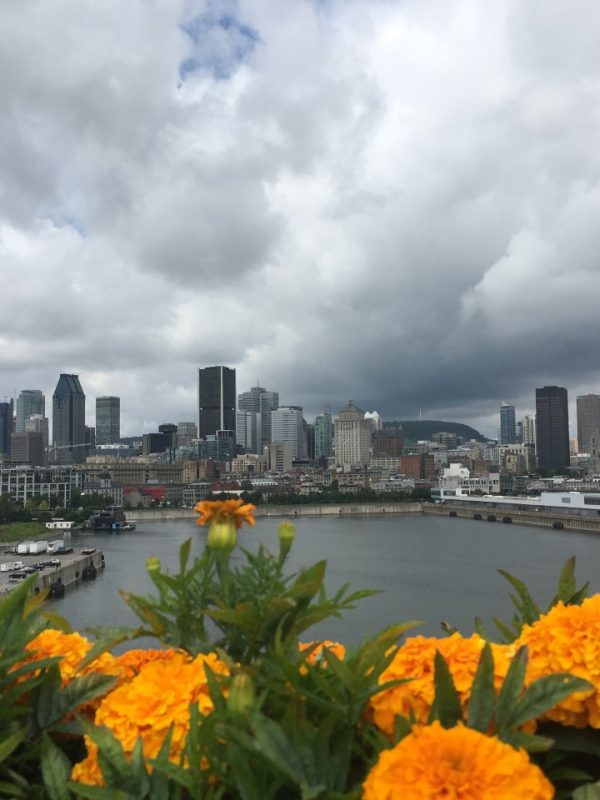 View from Habitat[2784]